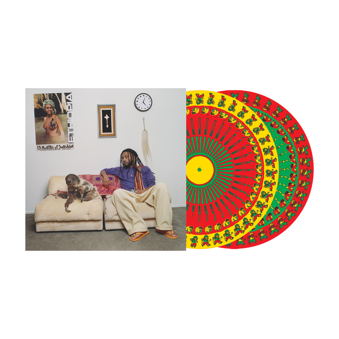 13 Months of Sunshine Vinyl (Zoetrope Picture Disc)